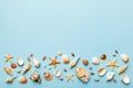 Summer time concept Flat lay composition with beautiful starfish and sea shells on colored table, top view with copy Royalty Free Stock Photo