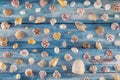 Summer time concept with sea shells on a blue wooden background and sand