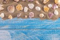 Summer time concept with sea shells on a blue wooden background and sand