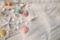 Summer time concept with sea shells and starfish on the beach sand Royalty Free Stock Photo