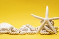 Starfish, shells, stones and rope on a plain yellow background Royalty Free Stock Photo
