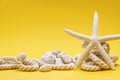 Starfish, stones and rope on a plain yellow background Royalty Free Stock Photo