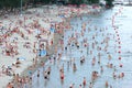 Summer time on the Danube beach in Novi Sad-Serbia