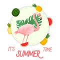 Summer Time Flamingo