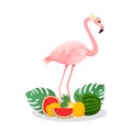 Summer Time Flamingo