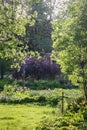 many and different ornamental plants