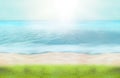 Summer time green grass beach ocean water 3d render