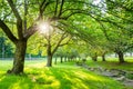 Summer time in Hurd Park, Dover, NJ