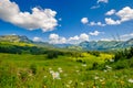 Summer time mountain nature panoramic landscape Royalty Free Stock Photo