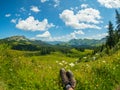 Summer time mountain nature panoramic landscape near Habkern, Switzerland Royalty Free Stock Photo