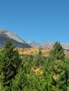 Summer time in the mountains of Silverthone in the Rocky mountains