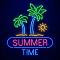 Summer time neon sign. Palm trees on sand beach, sun isolated on dark blue background. Summer logo, banner