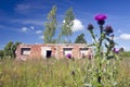 Summer time old farm ruins Royalty Free Stock Photo