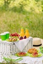 Summer time: picnic on the grass - coffee and croissants, juice Royalty Free Stock Photo