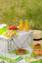 Summer time: picnic on the grass - coffee and croissants, juice Royalty Free Stock Photo