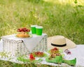 Summer time: picnic on the grass - coffee and croissants, juice Royalty Free Stock Photo