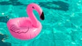 Summer time. Pink inflatable flamingo in pool water for summer beach background. Funny bird toy for kids Royalty Free Stock Photo