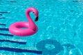 Summer time. Pink inflatable flamingo in pool water for summer beach background. Funny bird toy for kids Royalty Free Stock Photo