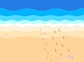 Summer time. Top view of an exotic empty beach with sea stars and seashells. A place for your project.