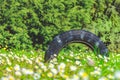 Summer tire background tread worn nature