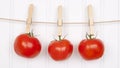 Summer Tomatoes Hanging from a Clothesline Royalty Free Stock Photo