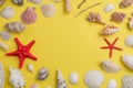 Summer top view; flat lay composition with shells on yellow background