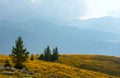 Summer Transalpina road (Carpathians, Romania).