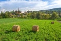 Summer in Transylvania, Romania in the Saxon Village Crit Royalty Free Stock Photo