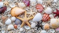 Summer travel banner with seashells, corals, and starfish on pure white sand, ocean vacation concept Royalty Free Stock Photo