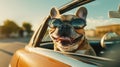 Summer Travel Buddy Funny French Bulldog Dog with Sunglasses and Leash on Road Trip - Generative AI