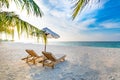 Summer travel destination background. Summer beach scene, sun beds sun umbrella and palm trees Royalty Free Stock Photo