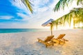 Summer travel destination background. Summer beach scene, sun beds sun umbrella and palm trees Royalty Free Stock Photo