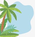 Summer travel and vacation palm tree foliage leaves tropical background Royalty Free Stock Photo