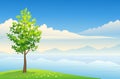 Summer tree background