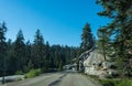 Coniferous forest and rocks. Road to Kings Canyon and Sequoia National Park, California, USA Royalty Free Stock Photo