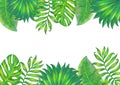 Summer tropical background banner with palm leaves.