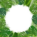 Summer tropical background with green palm leaves. Exotic botanical design with jungle plants for invitation, banner, poster