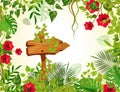 Summer tropical background with jungle plants. Liana branches frames, rainforest tropical leaves flowers. Retro wooden sign