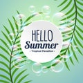 Summer tropical background with leaves and bubbles Royalty Free Stock Photo