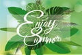 Summer tropical background with palm green leaves.