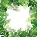 Summer tropical background with palm leaves. Exotic wallpaper, card, poster, placard, frame.