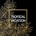 Summer tropical background of palm leaves and golden text and frame. Vector illustration Royalty Free Stock Photo