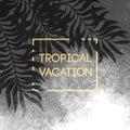 Summer tropical background of palm leaves and golden text and frame. Vector illustration Royalty Free Stock Photo