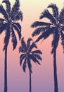 Summer tropical background with 3 palm trees sky and sunset Royalty Free Stock Photo