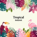 Summer tropical banner palm leaves birds vector image