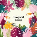 Summer tropical banner palm leaves birds vector image