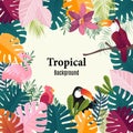 Summer tropical banner palm leaves birds vector image