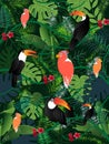 Summer tropical banner palm leaves birds vector image