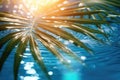 Summer tropical beach background with palm leaves, sparkling water reflections. Generative AI Royalty Free Stock Photo