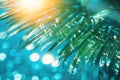 Summer tropical beach background with palm leaves, sparkling water reflections. Generative AI Royalty Free Stock Photo